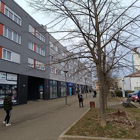 Pranjic Apartment Zaprešić Exteriör bild